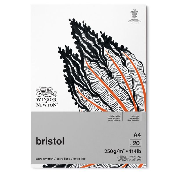 W&N BRISTOL PAD 250 A4 20S