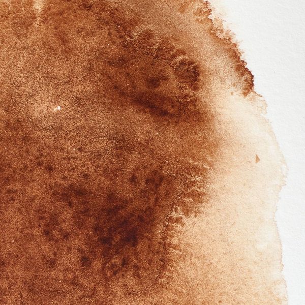 BURNT UMBER HALV PAN W&N pwc