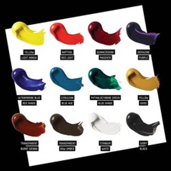 LIQUITEX PRO HEAVY BODY 12X22ML SET