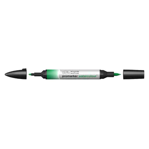 Hovedbilde W&N WATERCOLOUR MARKER 311 HOOKER'S GREEN