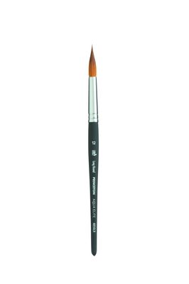 Princeton Aqua Elite Synthetic Short Handle Long Round Size 12 P