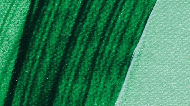 Hovedbilde Schmincke Akademie 60ml. phthalo green light