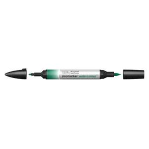 Hovedbilde W&N WATERCOLOUR MARKER 312 HOOKER'S GREEN DARK