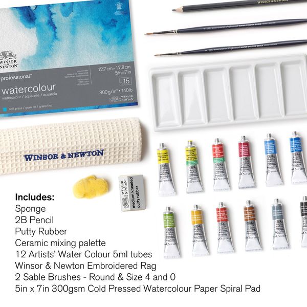 W&N PROFESSIONAL WATERCOLOUR 12 TUBE STUDIO CASE
