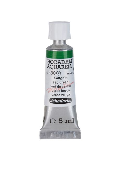 Hovedbilde Schmincke Horadam 5ml sap green