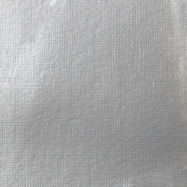 IRIDESCENT BRIGHT SILVER 59ML LQX PRO SOFT BODY